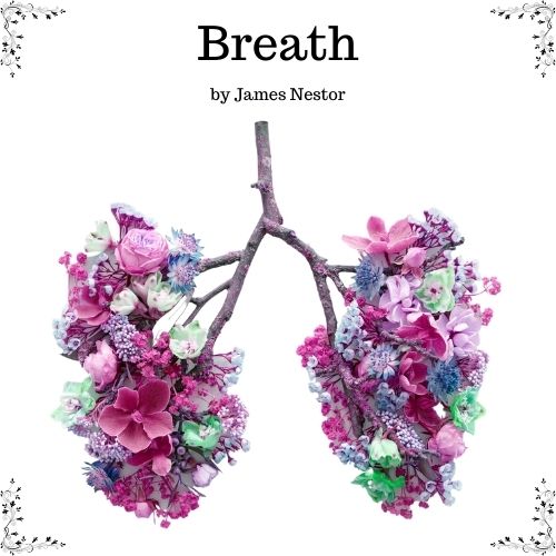 Breath by James Nestor - Florida High Speed CBT Therapy | Sarasota, FL