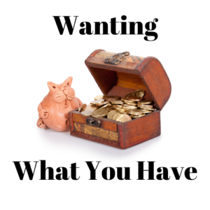 Wanting What You Have - Julie M. Simons